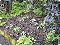 Amanda Elisabeth Jensen